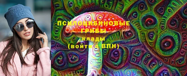 ГАЛЛЮЦИНОГЕННЫЕ ГРИБЫ Вязники