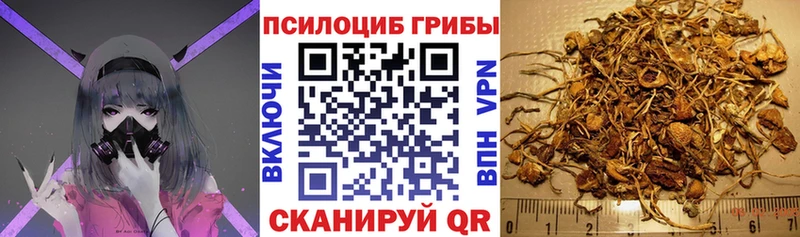 Псилоцибиновые грибы ЛСД  Духовщина 