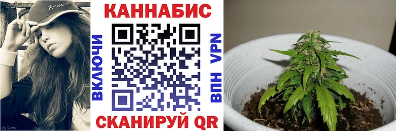 Марихуана семена  Духовщина 